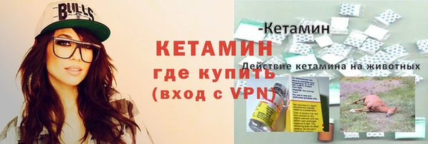 стафф Арсеньев