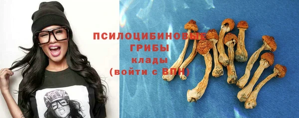 стафф Арсеньев